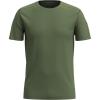 Fern Green