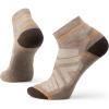 Chestnut-fossil